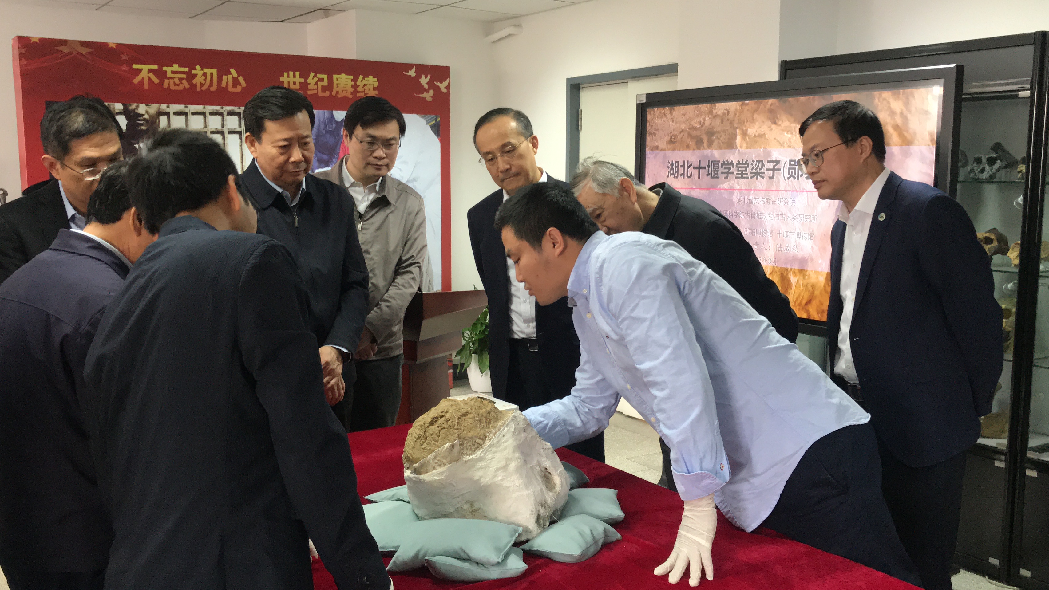 中国科学院古脊椎动物与古人类研究所举办“郧县人”3号头骨化石交接仪式