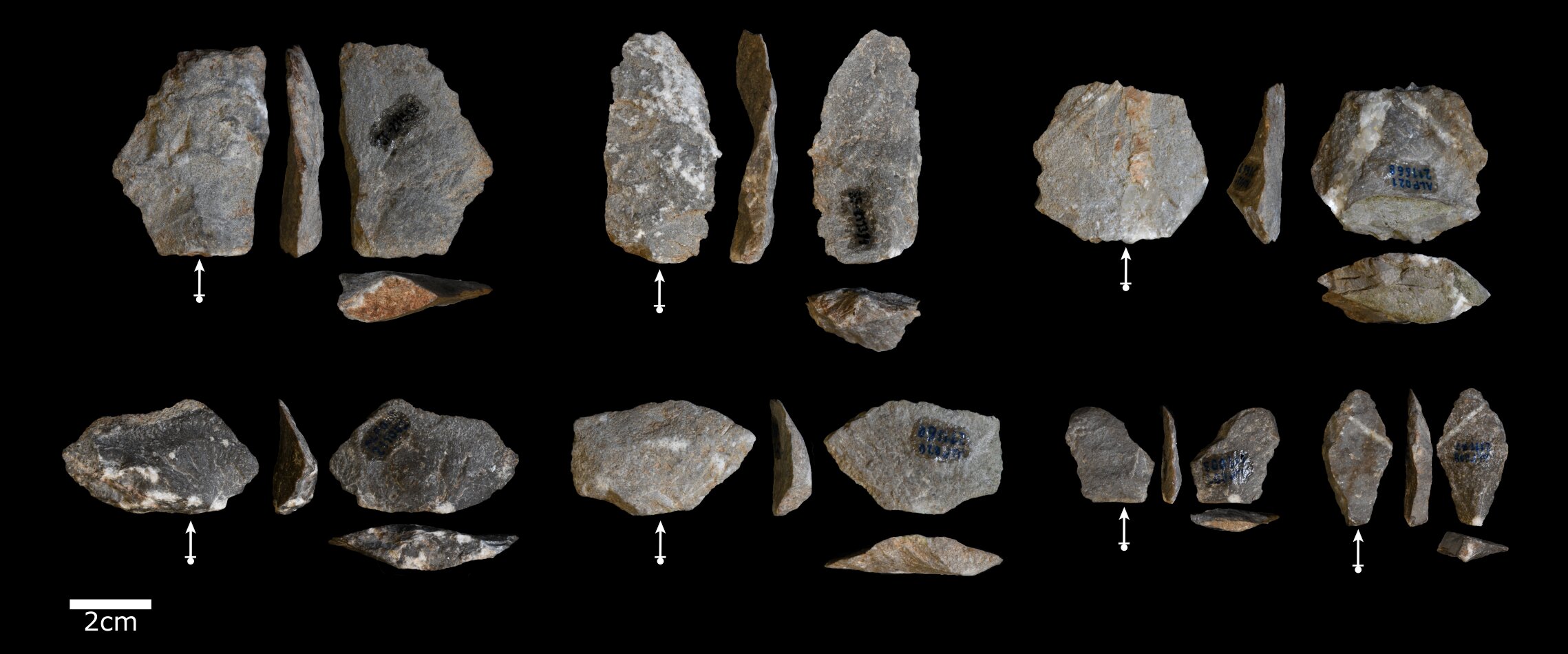长尾猕猴无意中创造的石块碎片与早期人类制作的石器很相似