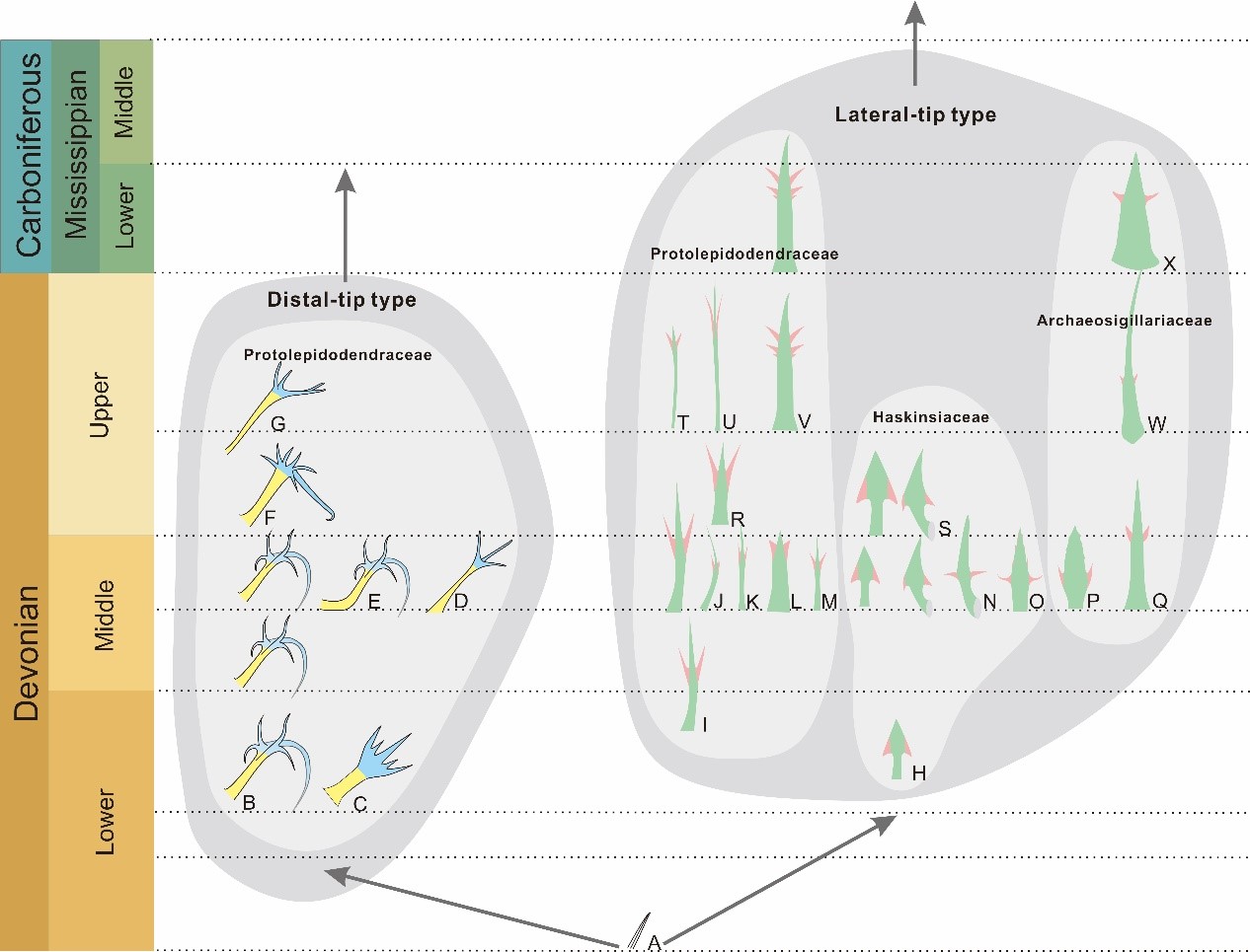 ���ŵ���ѧ�������½��������������ݱ�ʯ������̬ѧ���ֲ�����ѧ����ʶ