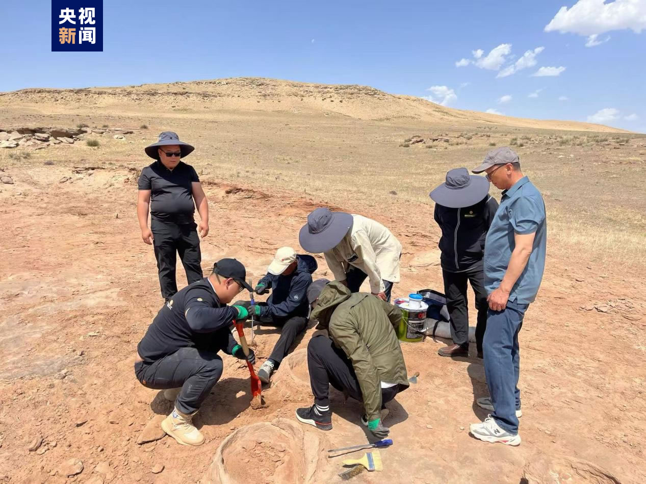 内蒙古鄂托克旗恐龙遗迹化石国家级自然保护区新发现一处恐龙足迹化石点