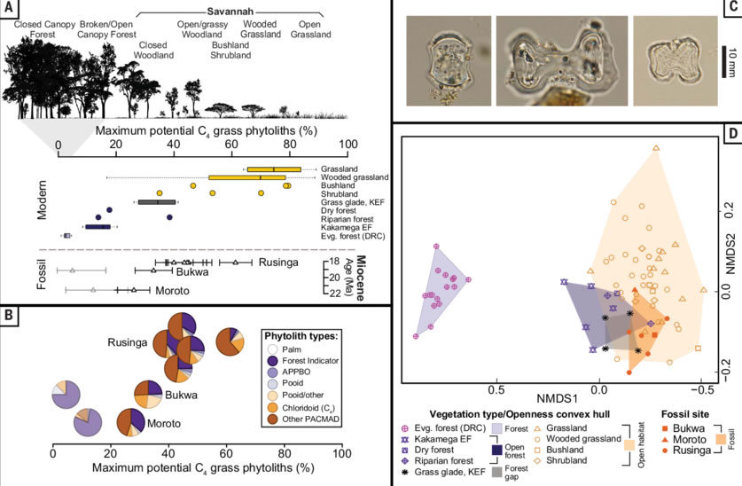 ����ϡ����ԭ���ֵ�ʱ���֮ǰ��Ϊ��Ҫ��1000���꣬�������˶�����ݻ�����Ӱ��