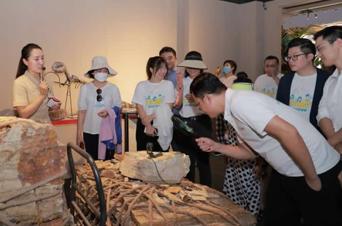 5月18日国际博物馆日：三亚恐龙博物馆面向市民游客开放