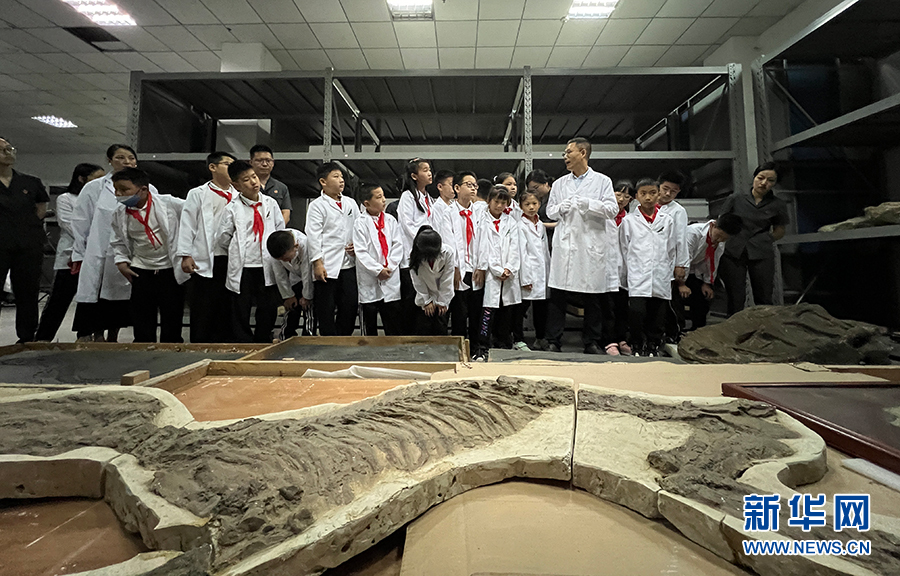 5月18日国际博物馆日：重庆自然博物馆举办“库房开放日”活动