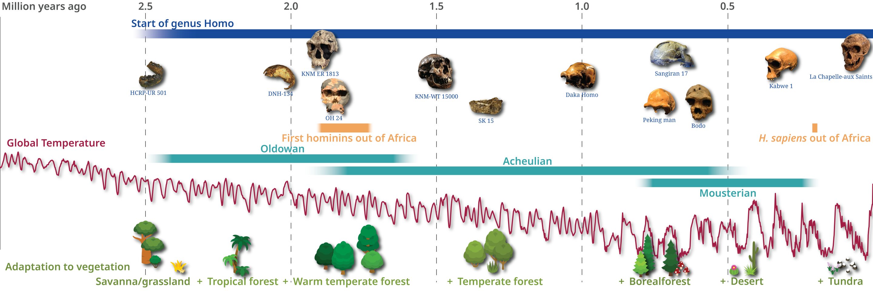 《科学》杂志:研究揭示过去300万年里人类对不同生物群落的适应性