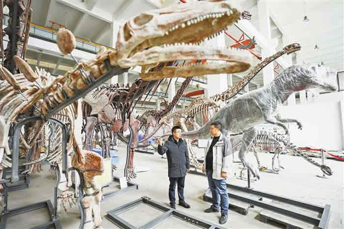 川渝共建古生物与古环境协同演化重庆市重点实验室：看云阳恐龙和自贡恐龙有多亲密