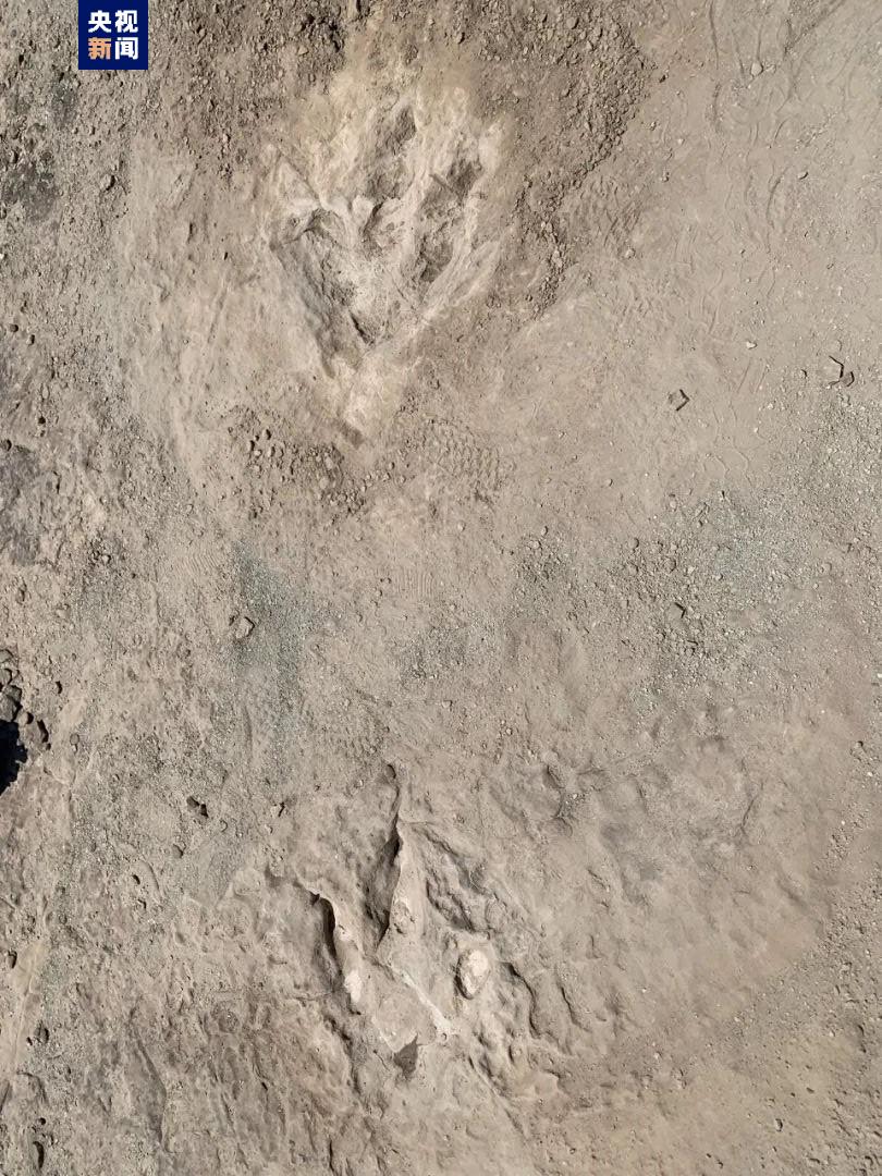 内蒙古鄂托克旗发现53个恐龙足迹化石 为不同种类食肉类恐龙所留