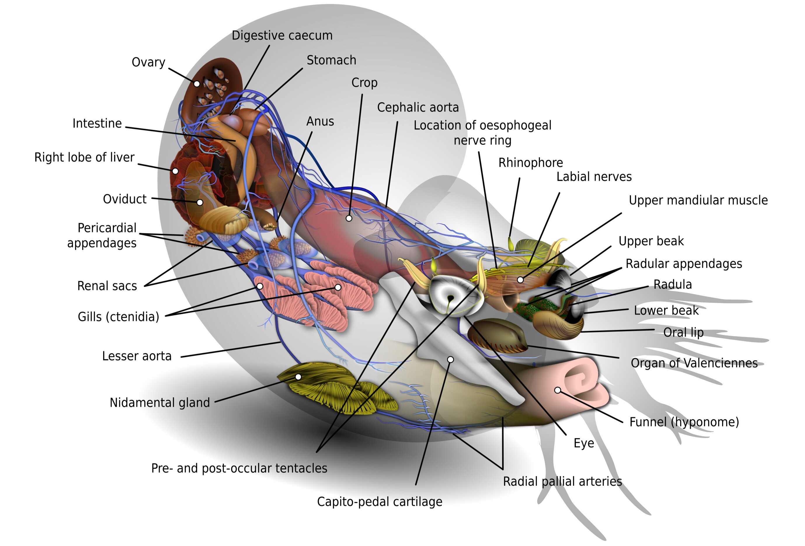 ��������ĩ�ڵĴ�������Ҵ������������ݿ��ܱ�֮ǰ��Ϊ��Ҫ��