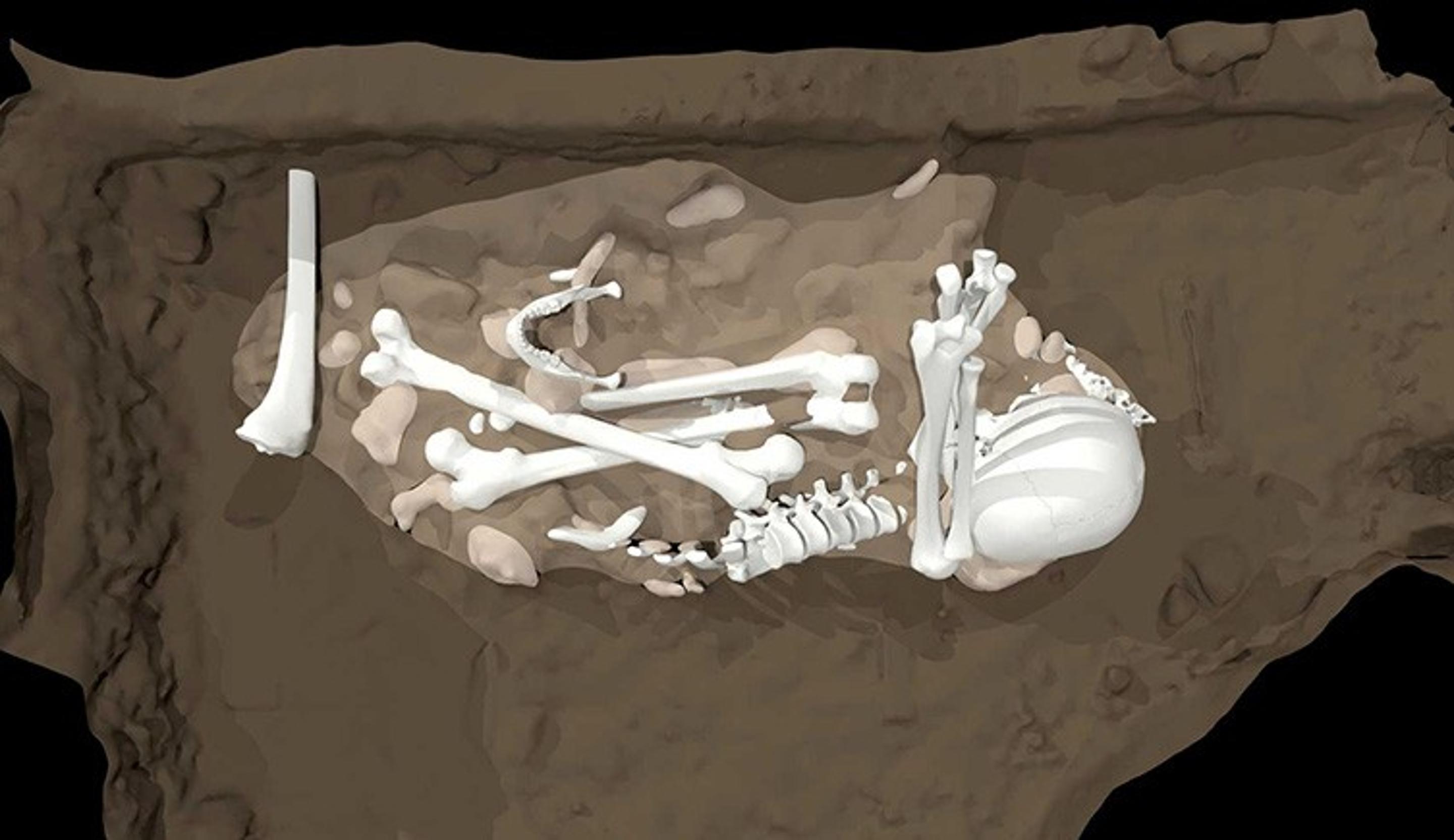 30万年前的神秘人类种群纳莱迪人制造了世界上最古老的墓葬地
