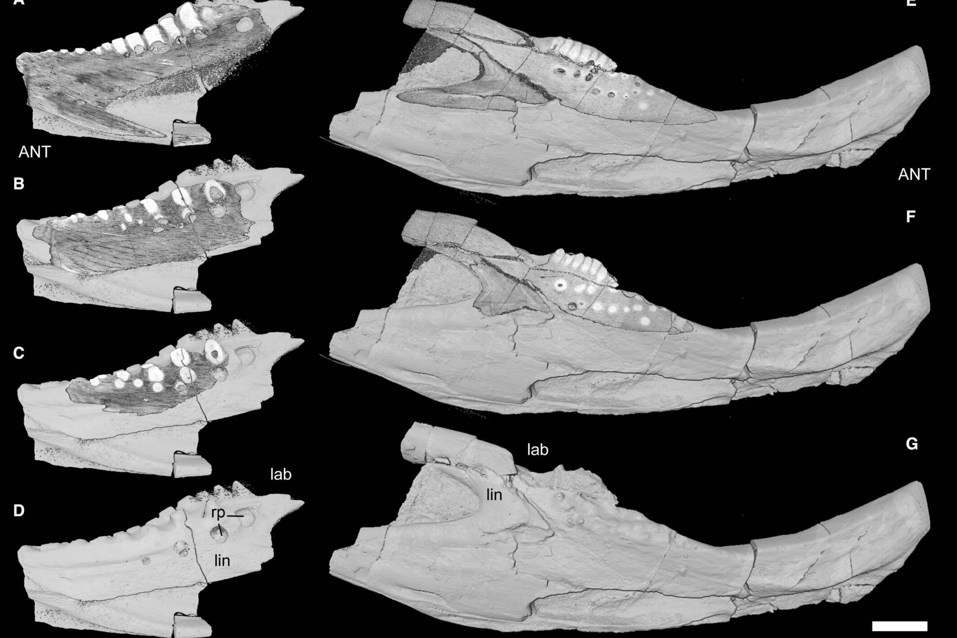 ��������֮ǰ�����ж������ʳ��ĥ�����ݣ��Ӷ����°���