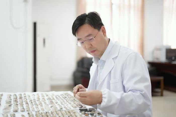 ��ʯ��ʱ�����������ǹ���������������������ö�����̬ϰ�Խ�������