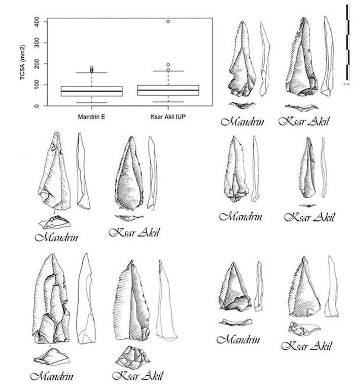 ����дŷ������������ʷ�Ŀ���ѧ��Ludovic Slimak���ʴ�