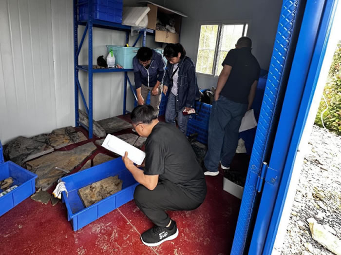 ����������ͳԭʼ�������ж��ﻯʯʾ�����򳡽��輰��������������Ŀͨ�����ڼ��