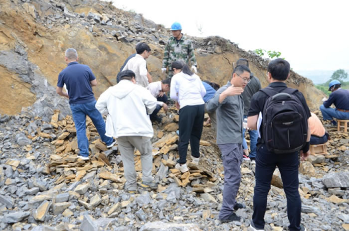 ����������ͳԭʼ�������ж��ﻯʯʾ�����򳡽��輰��������������Ŀͨ�����ڼ��