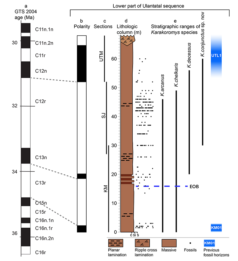 �������ԡ����罥����ȫ������������½�ɺ�������ֺ������Ե�Ӱ��