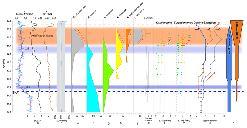 �������ԡ����罥����ȫ������������½�ɺ�������ֺ������Ե�Ӱ��