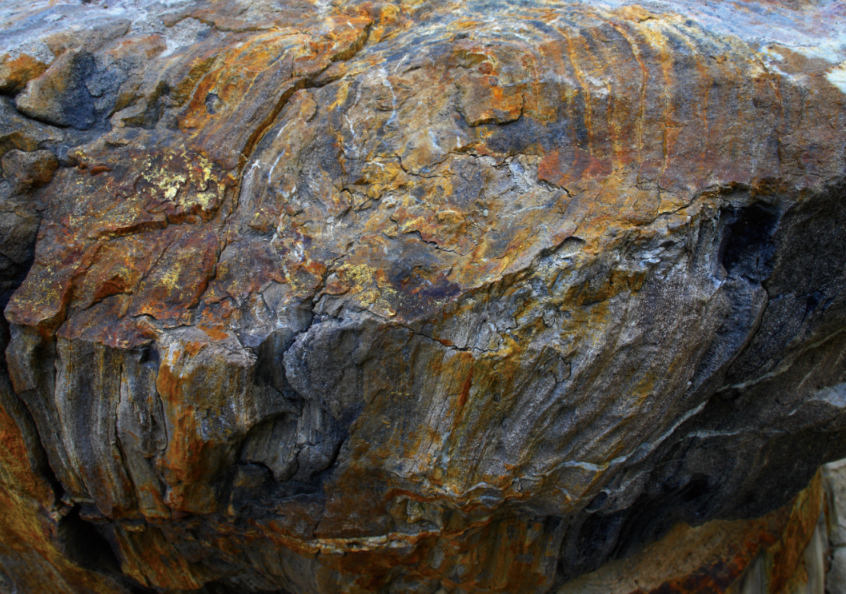 ����軯ľ�Ϳ����㼣��ʯ�������й�������ʯ��