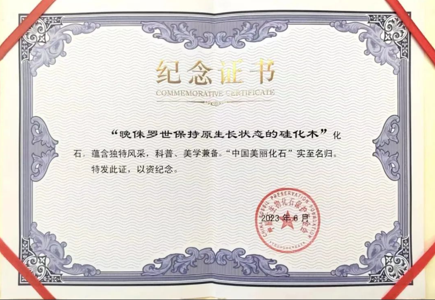 ����軯ľ�Ϳ����㼣��ʯ�������й�������ʯ��