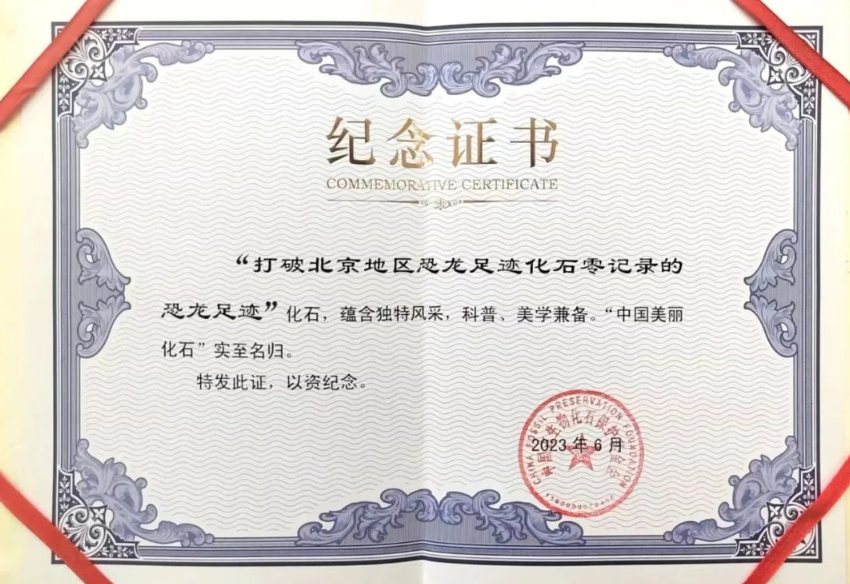 ����軯ľ�Ϳ����㼣��ʯ�������й�������ʯ��