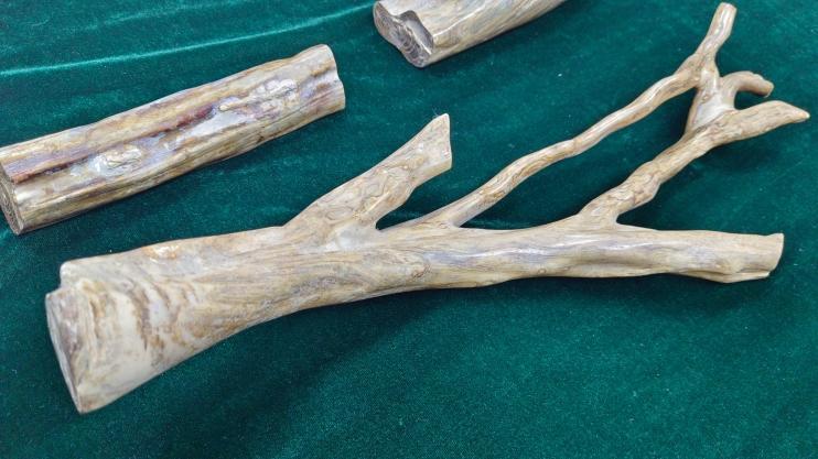 ���ݺ�����㶫ʡ��Ȼ��Դ���ƽ�һ���軯ľ��ʯ