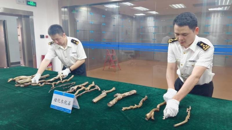 ���ݺ�����㶫ʡ��Ȼ��Դ���ƽ�һ���軯ľ��ʯ