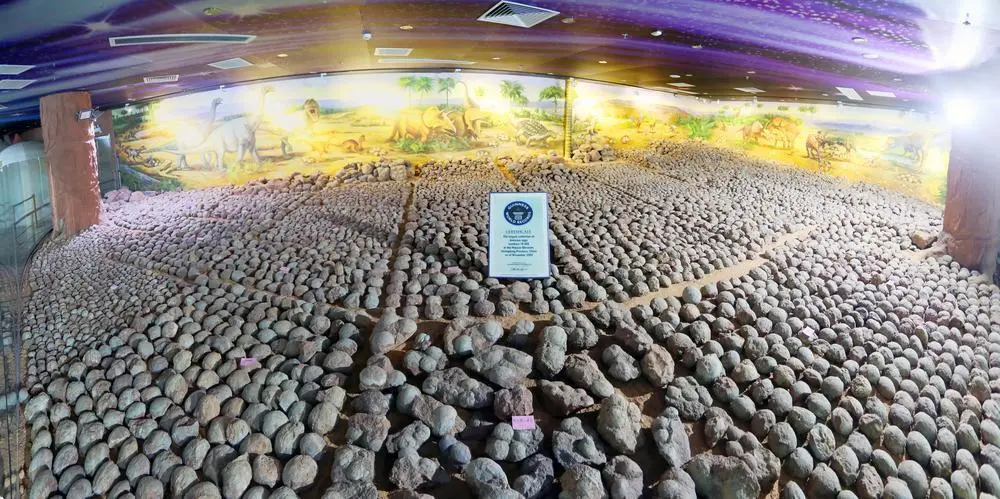 �����Ϻ�Դ������������˹�����¼�Ŀ���������ѡ���й�������ʯ��