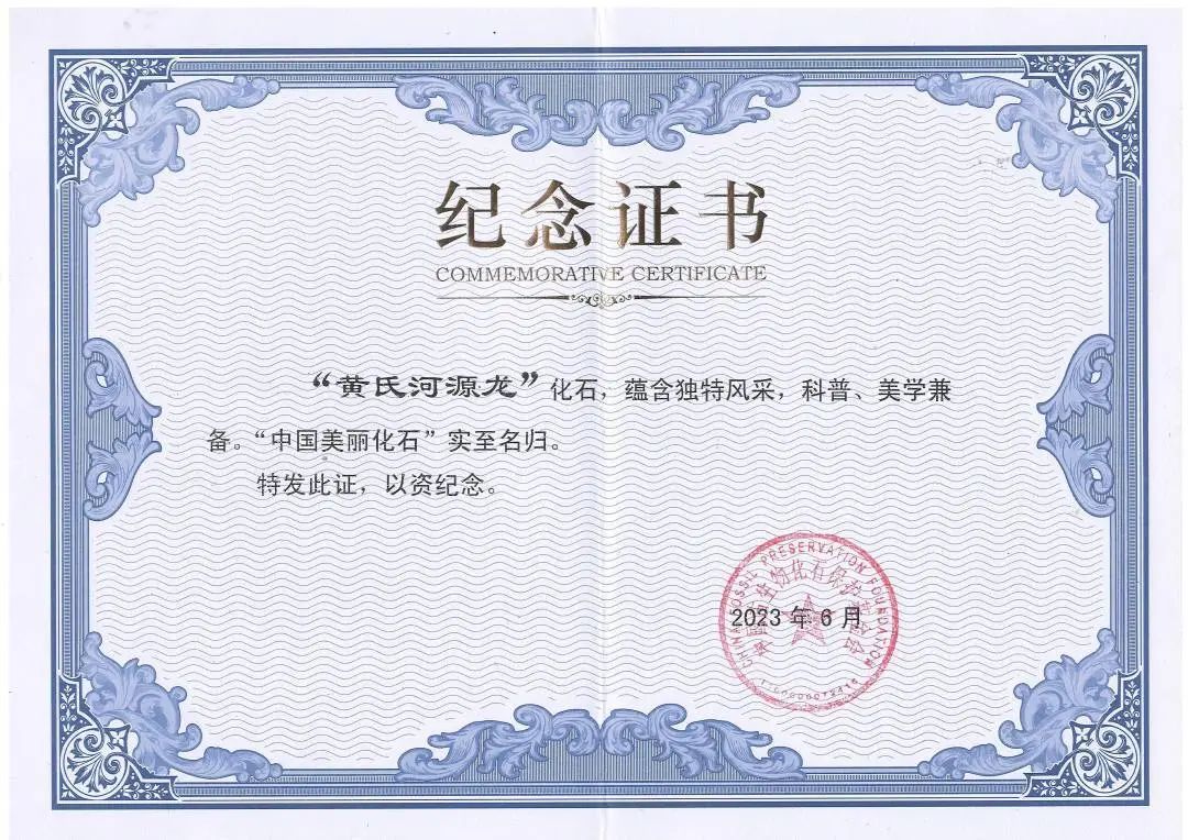 �����Ϻ�Դ������������˹�����¼�Ŀ���������ѡ���й�������ʯ��