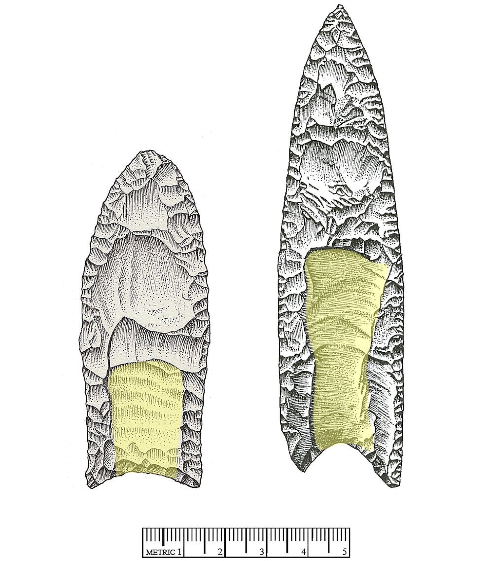 13000��ǰ���������ڱ���������ɱ�������������������Ͷ���