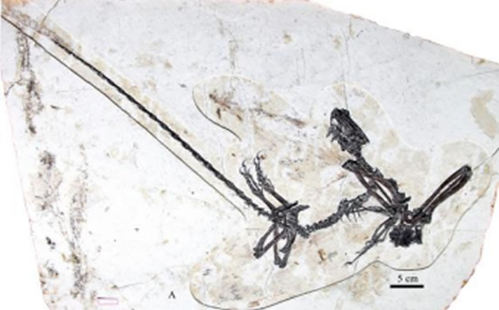 ʡʲݹݲؼĴƷϲйʯƺ