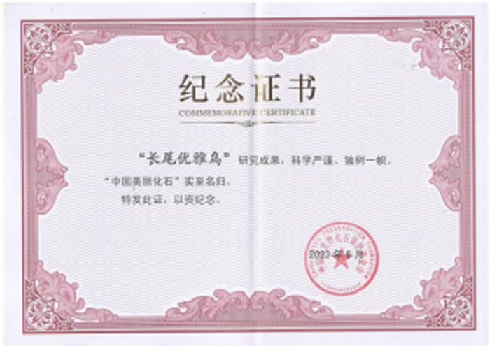 ʡʲݹݲؼĴƷϲйʯƺ