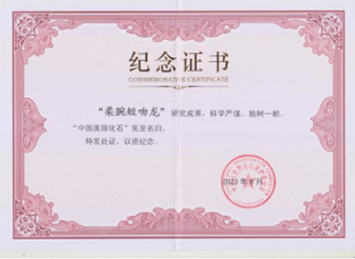 ʡʲݹݲؼĴƷϲйʯƺ