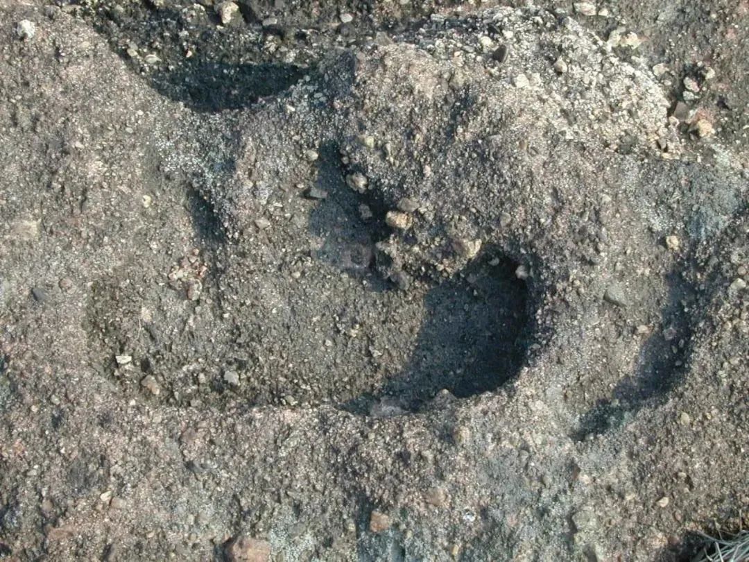 ���۵�������ḻ�����������������������㼣�����������������й�������ʯ��