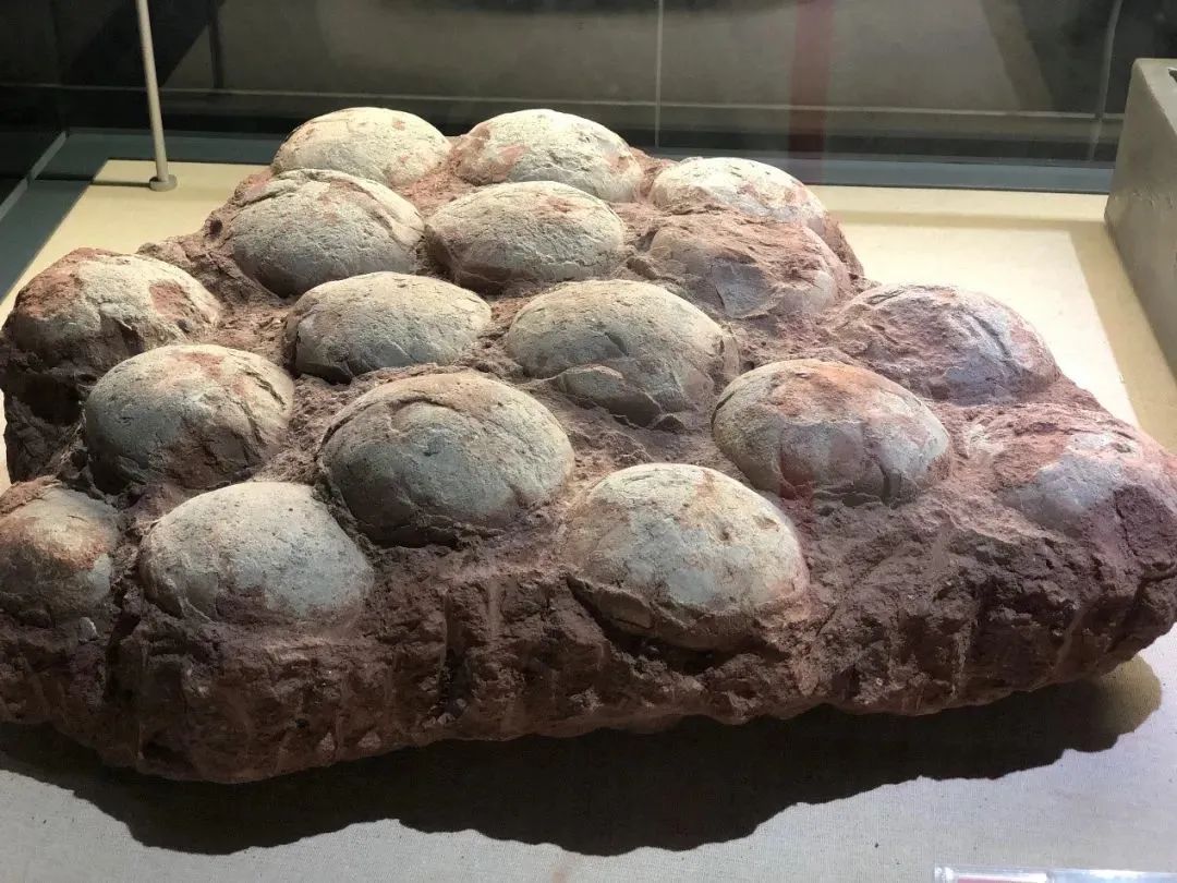 ���۵�������ḻ�����������������������㼣�����������������й�������ʯ��