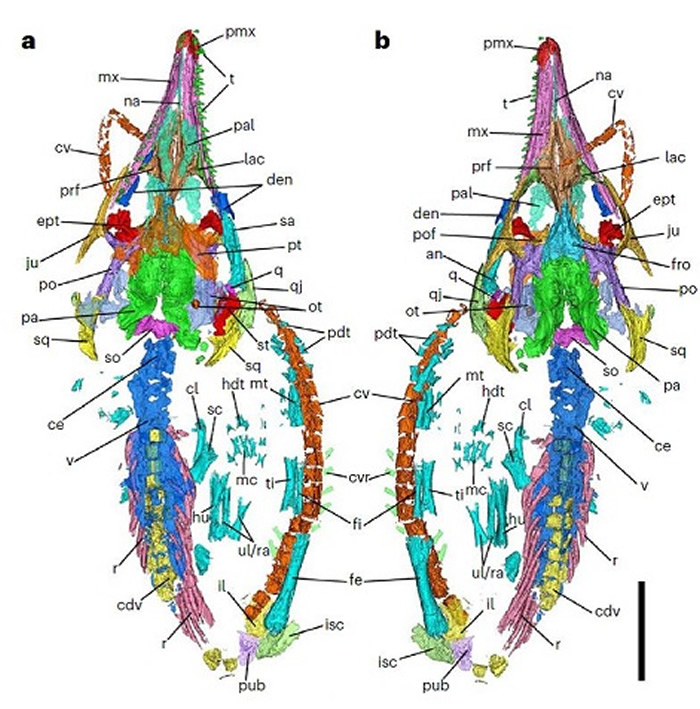 ��Ĥ����Դ�о�ȡ����Ҫ��չ