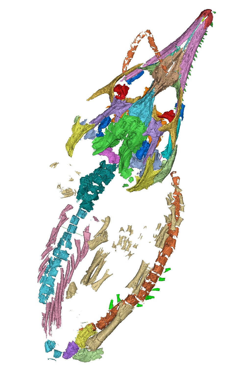 ���ж���͵��ĸ��ȳ��֣�