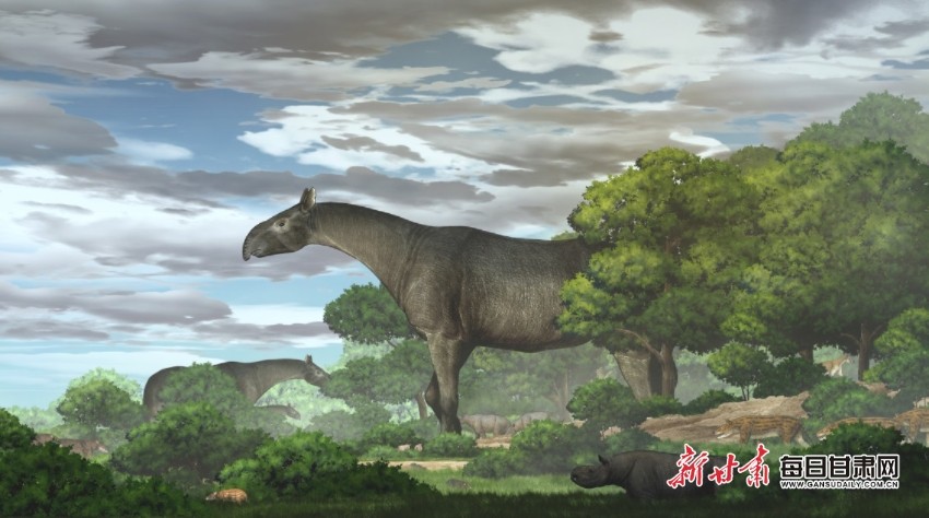 ������غ�������������������ʯ��ʮ�����֮�