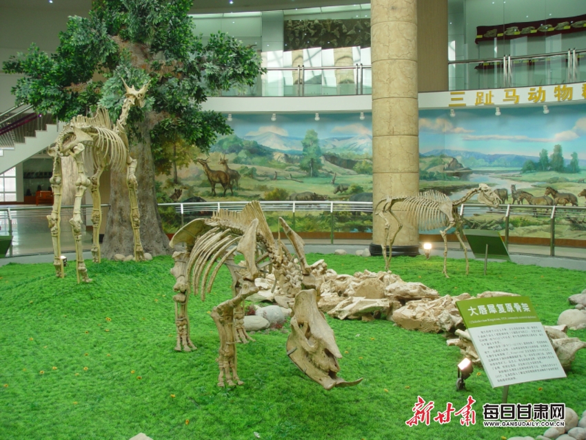 ������غ�������������������ʯ��ʮ�����֮�