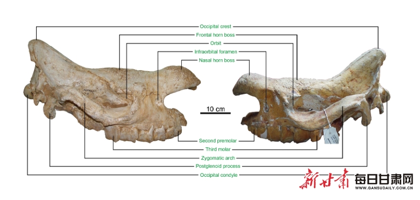 ������غ�������������������ʯ��ʮ�����֮�