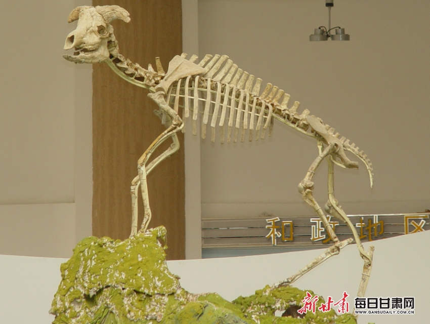 ������غ�������������������ʯ��ʮ�����֮�