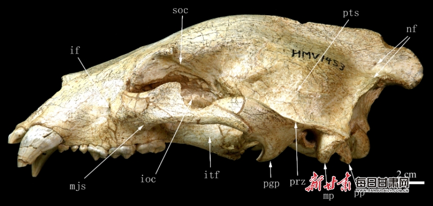 ������غ�������������������ʯ��ʮ�����֮�