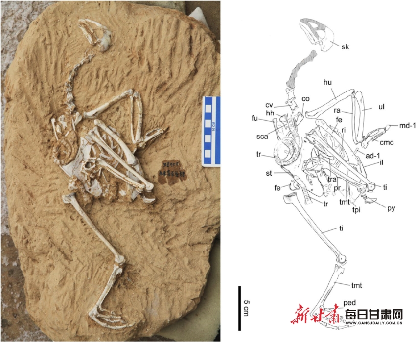 ������غ�������������������ʯ��ʮ�����֮�