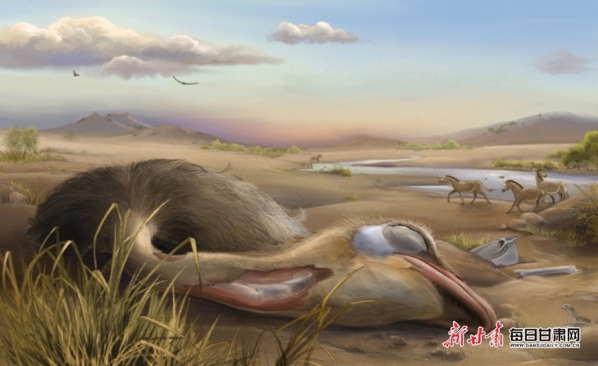 ������غ�������������������ʯ��ʮ�����֮�