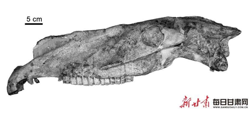 ������غ�������������������ʯ��ʮ�����֮�