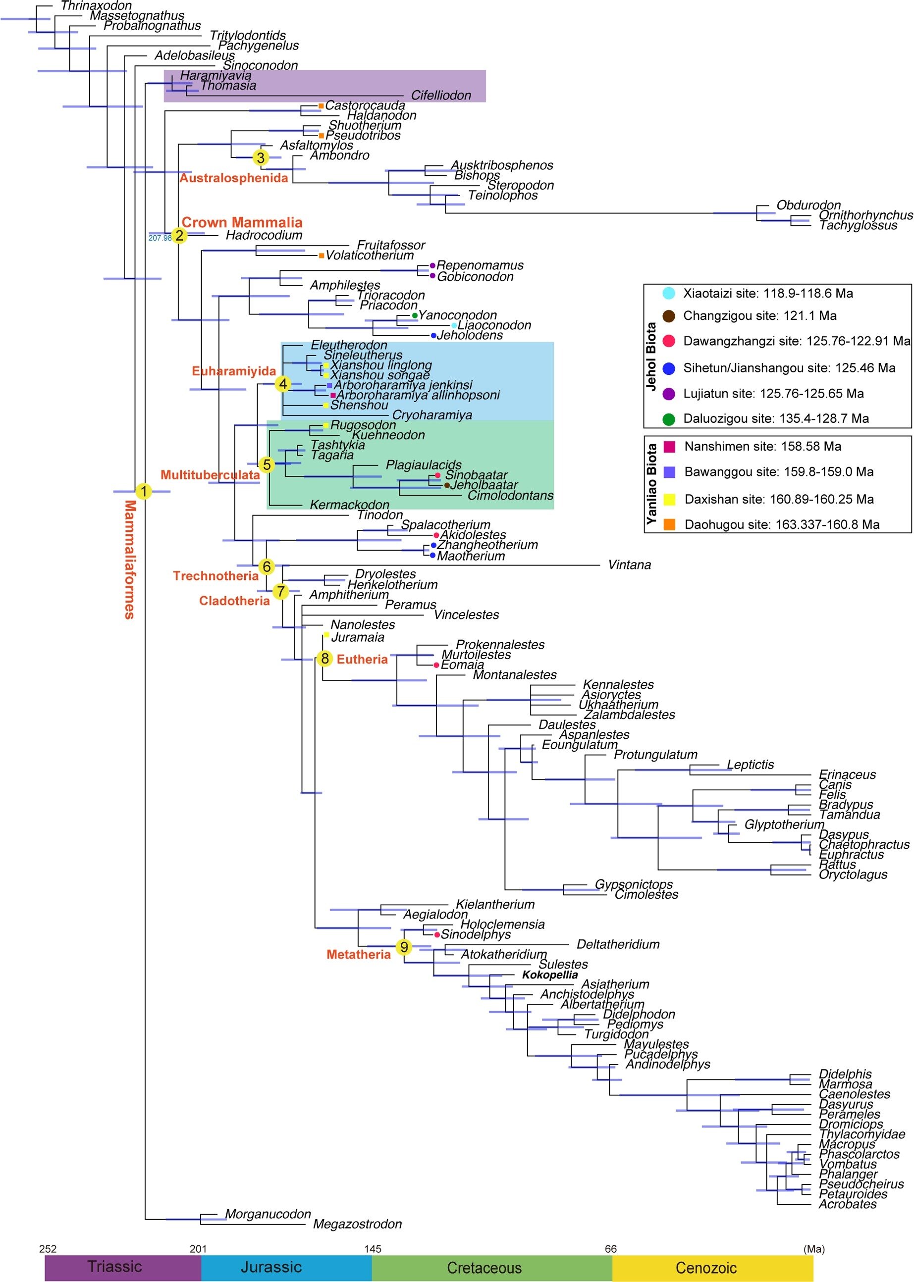 �й���������ȺΪ�о������������Ĳ��鶯������ṩ�µĴ���