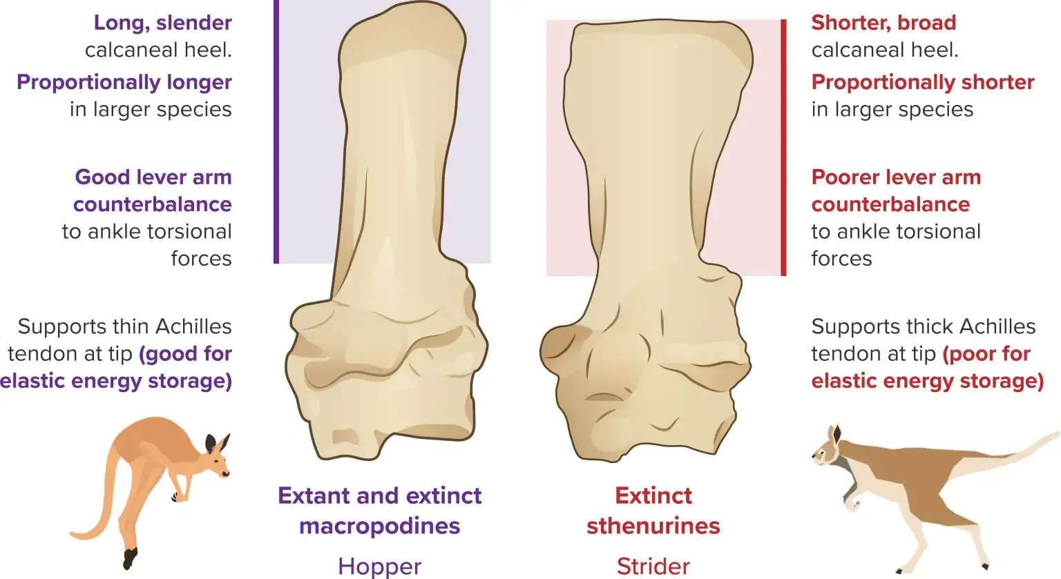 ������Ĵ������ִ�������������