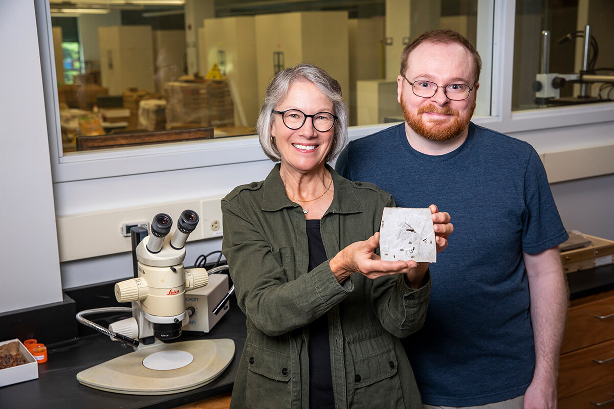 5000����ǰ���˹��ʯ��ʾ�˼��⡢�������������غ��