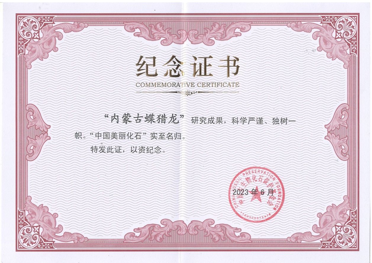 �����׶���Ȼ���������������ʯ�������й�������ʯ��