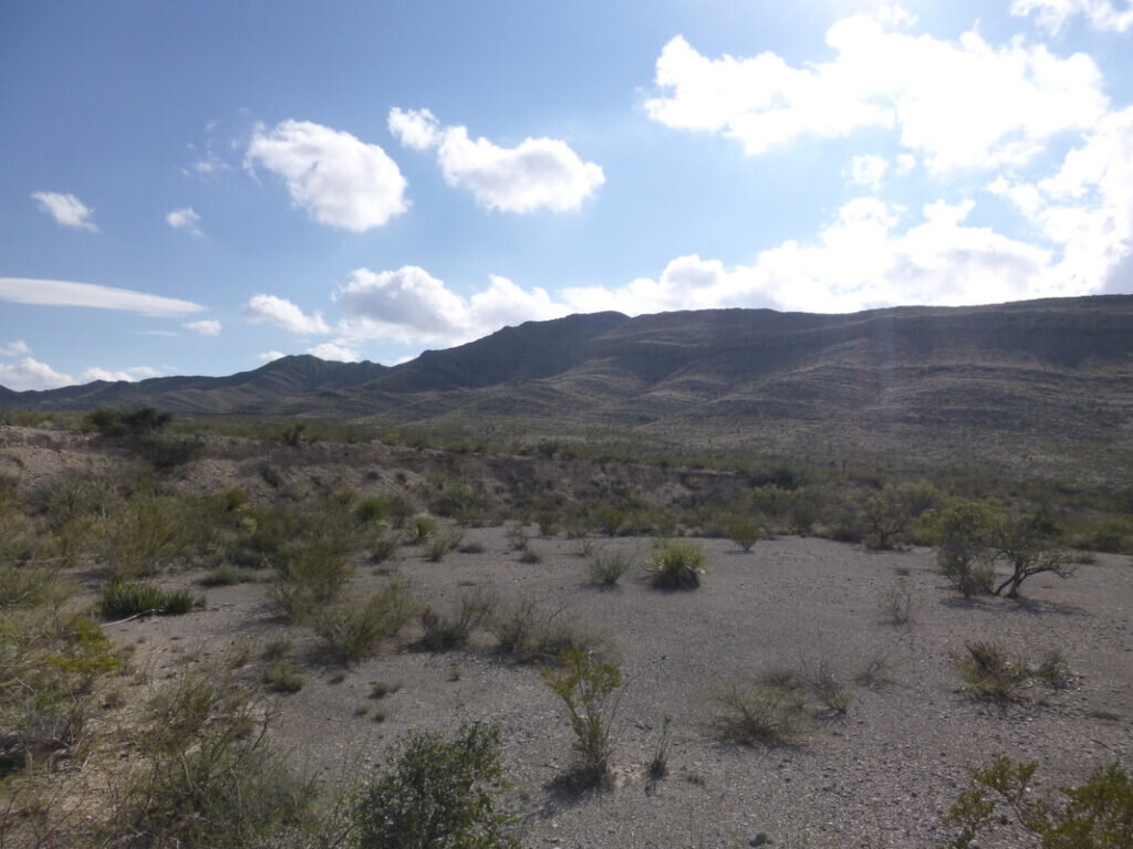 ������ѧ�������״��ڵ¿���˹�ݷ��ֵ�٪�޼ͼ�׵���ﻯʯ�����߾���