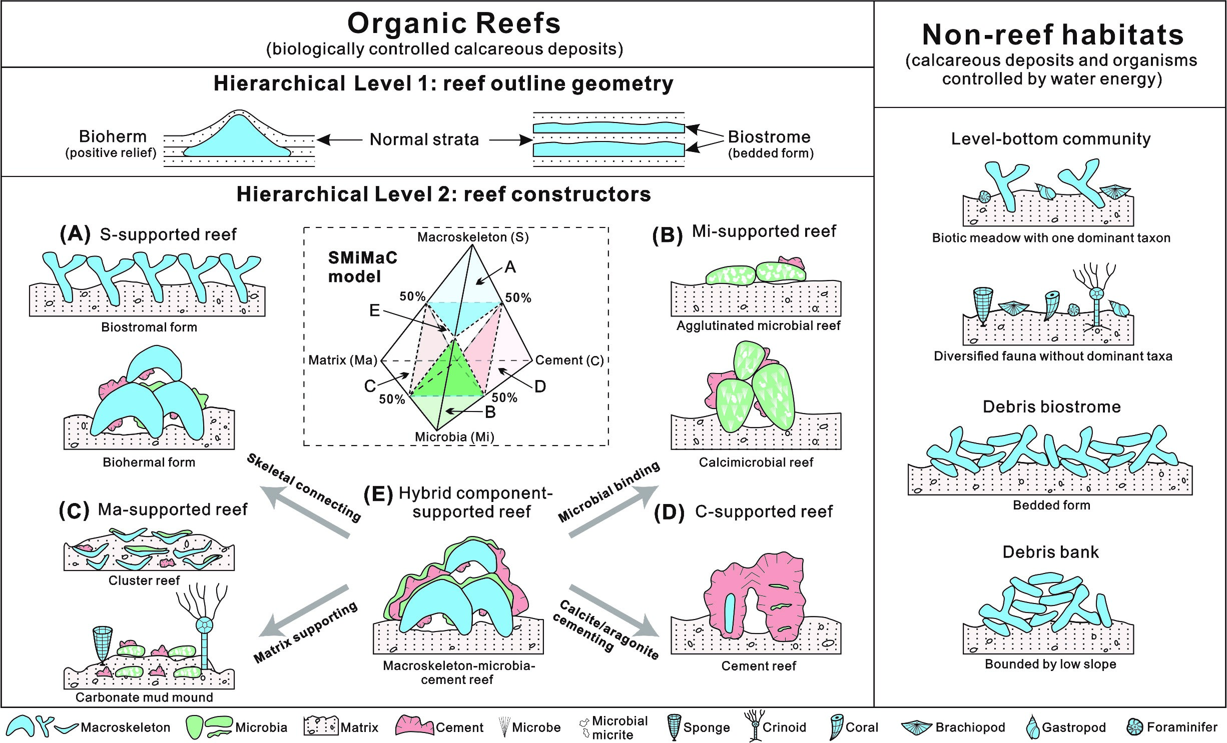 《沉积学》:“金字塔”式生物礁分类新方案