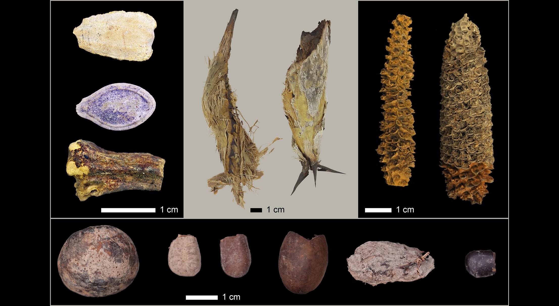 ���ڿɳ����ԡ�������������Ӧ�ľ����ѵ����ȫ�����ṩ