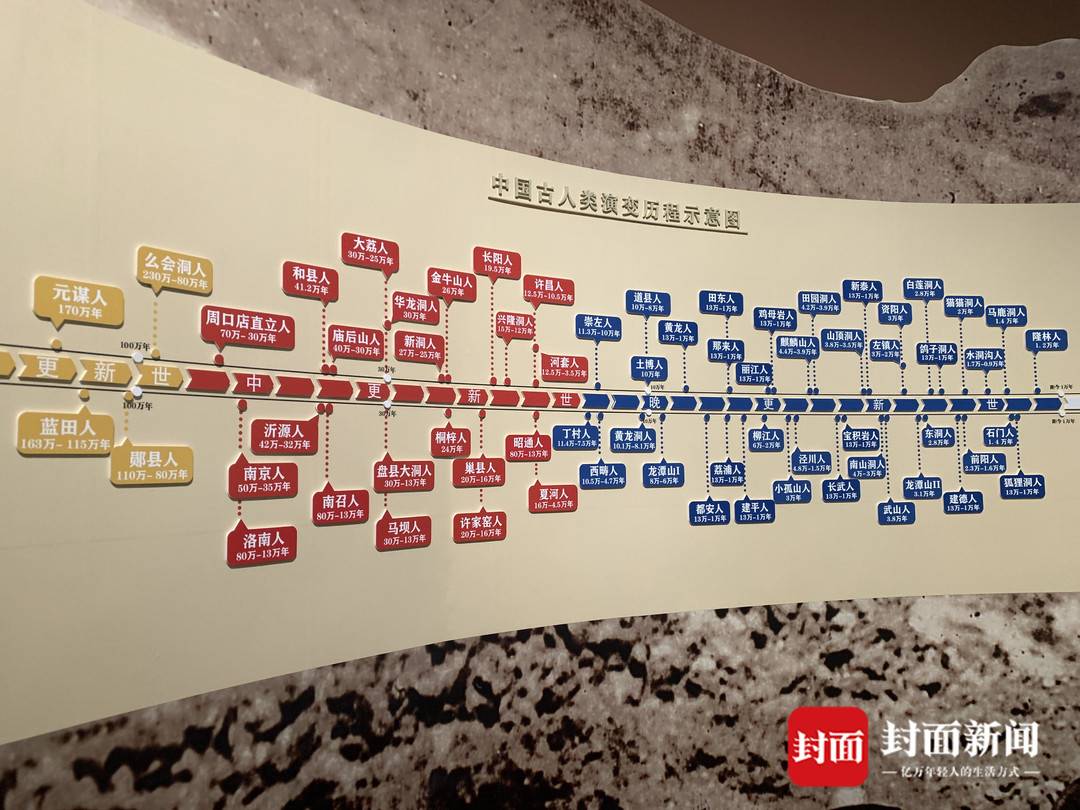 ��DNA���̽Ѱ������Դ���ܣ����Ҳ���ݡ��л���ذ���������ʷ��չ